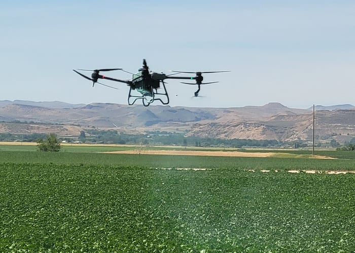 Drone operator in the field