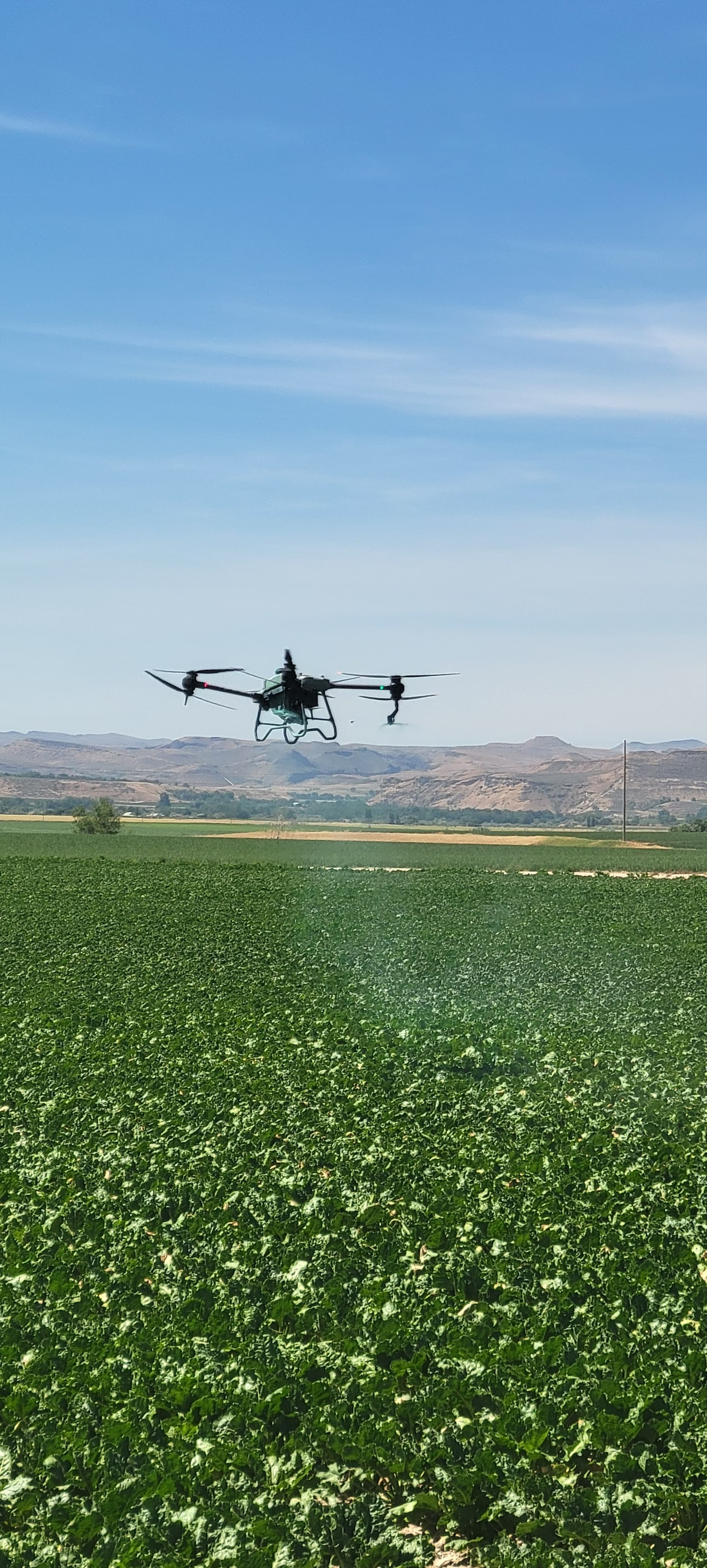 Ag Drone Spraying & Spreading
